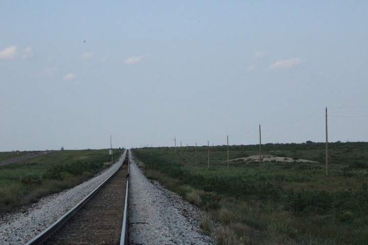 Frame 1: birds barely visible